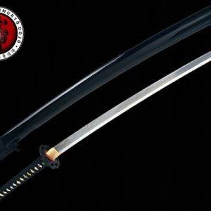Nisshoku Ninja-Tō